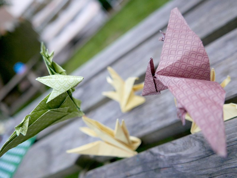 A pair of origami Pteranodons fighting over a prehistoric fern covered pub table