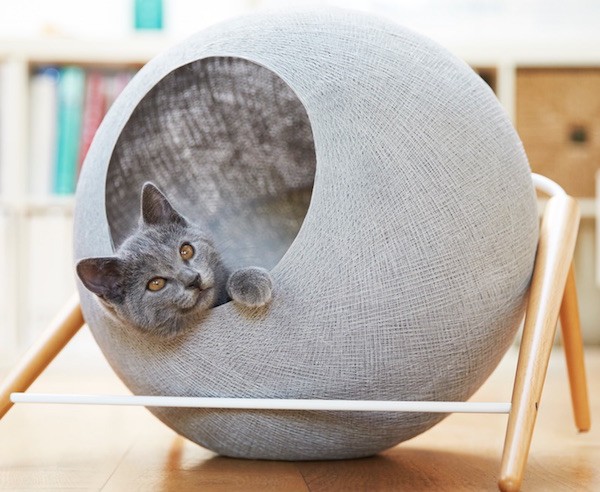 Classy shop cat furniture