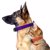 Nuzzle – GPS Tracking Collar for Cats and Dogs