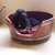 Wine Barrel Pet Bed By Wine Barrel Creations