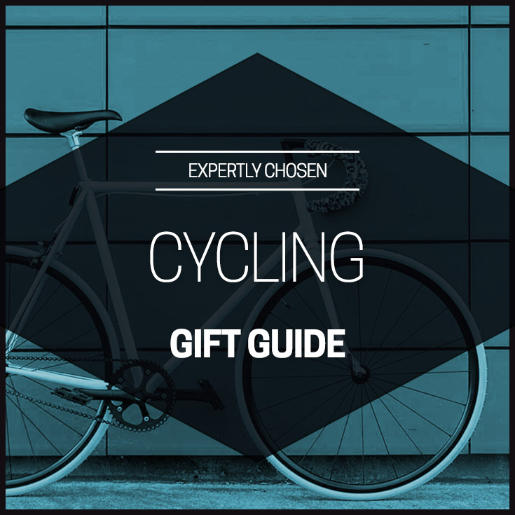 15 Best Holiday Gifts for E-Bike Riders in 2023 | Electric bike, Bike rider,  Best electric bikes