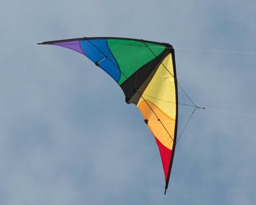 Beginner Level Stunt Kite