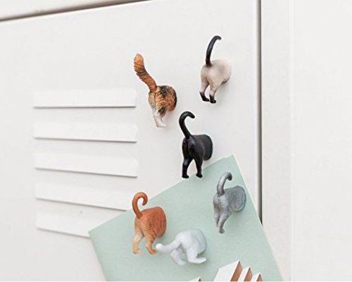 Cat Butt Magnets - A cheeky fridge magnet set for cat fanatics