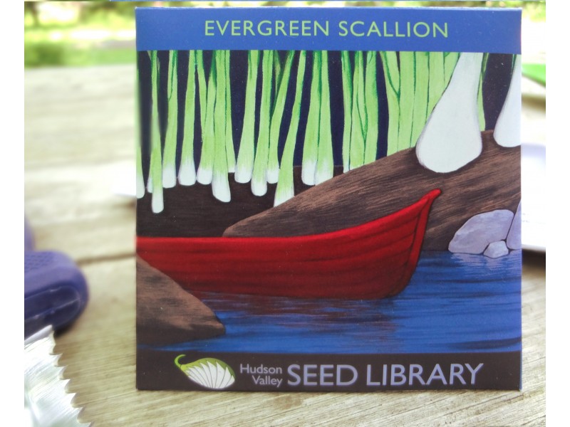 Hudson Valley Seed Art Packs